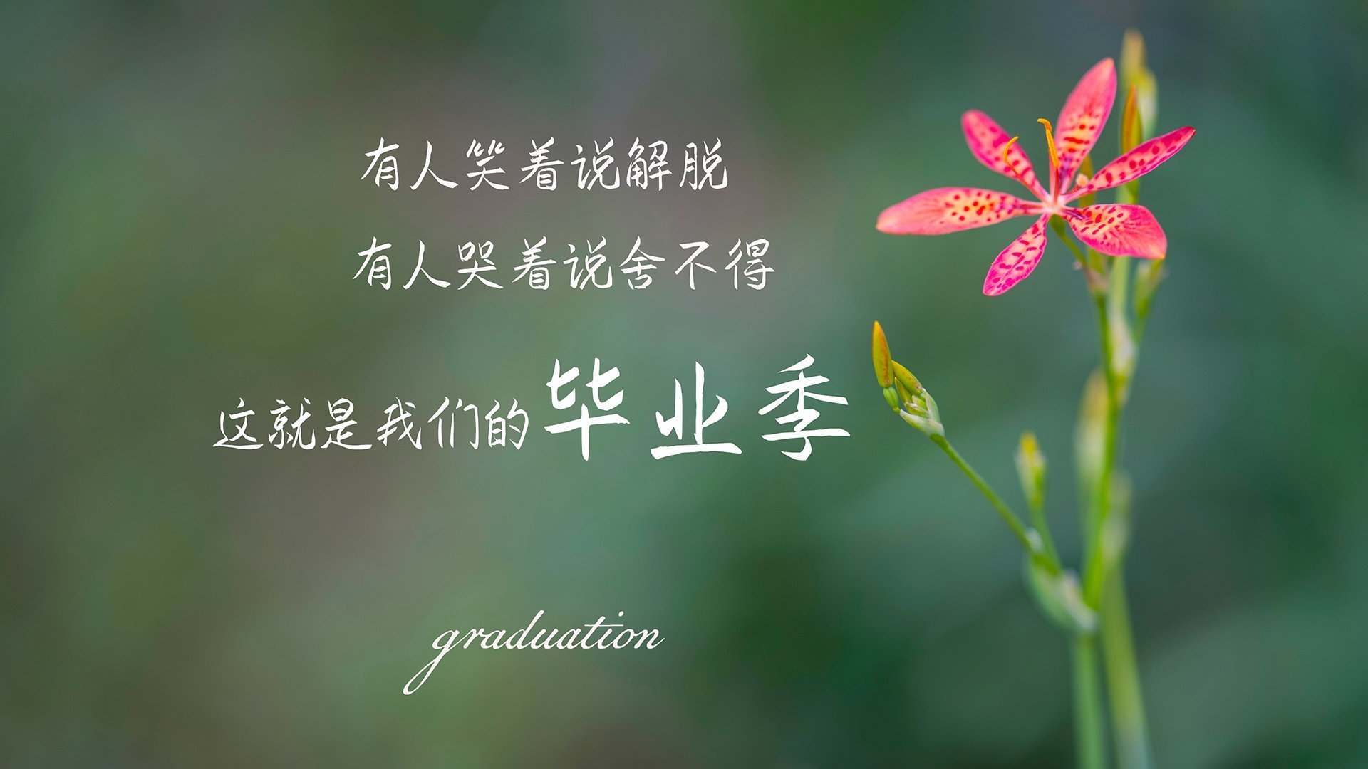 广东队强行终结灰熊，锡安关键制胜，一场跨越篮球次元的对决