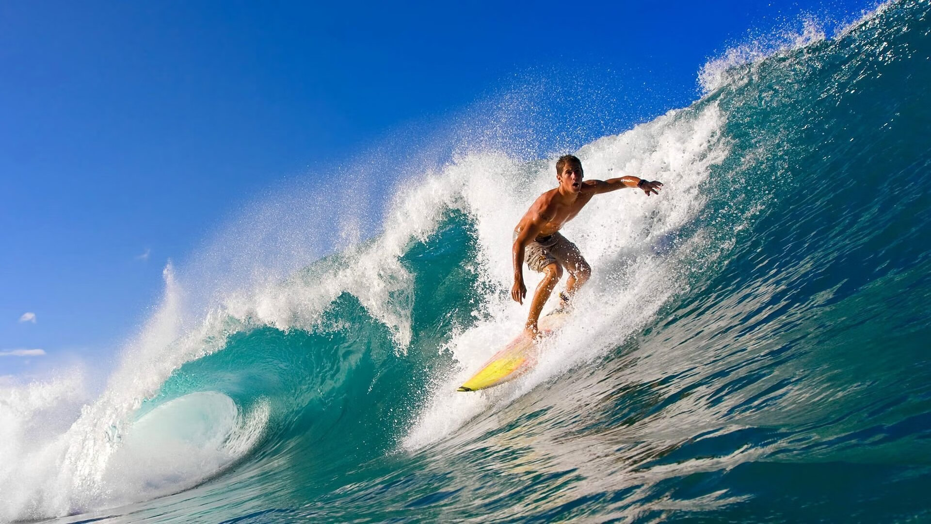 从意甲焦点战到雄鹿完胜上海队，体育世界的多元魅力与独特叙事