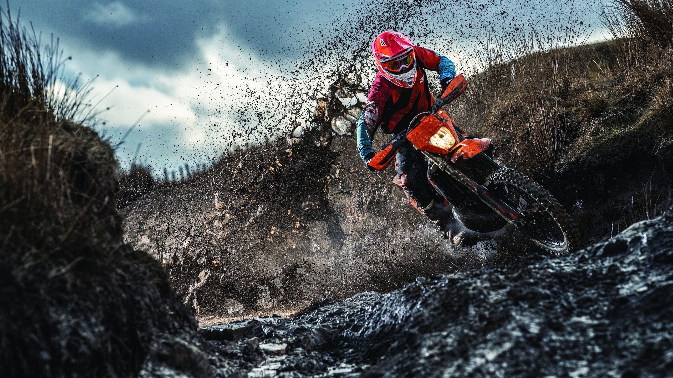 魔术对阵森林狼，杰伦·格林表现堪称教科书